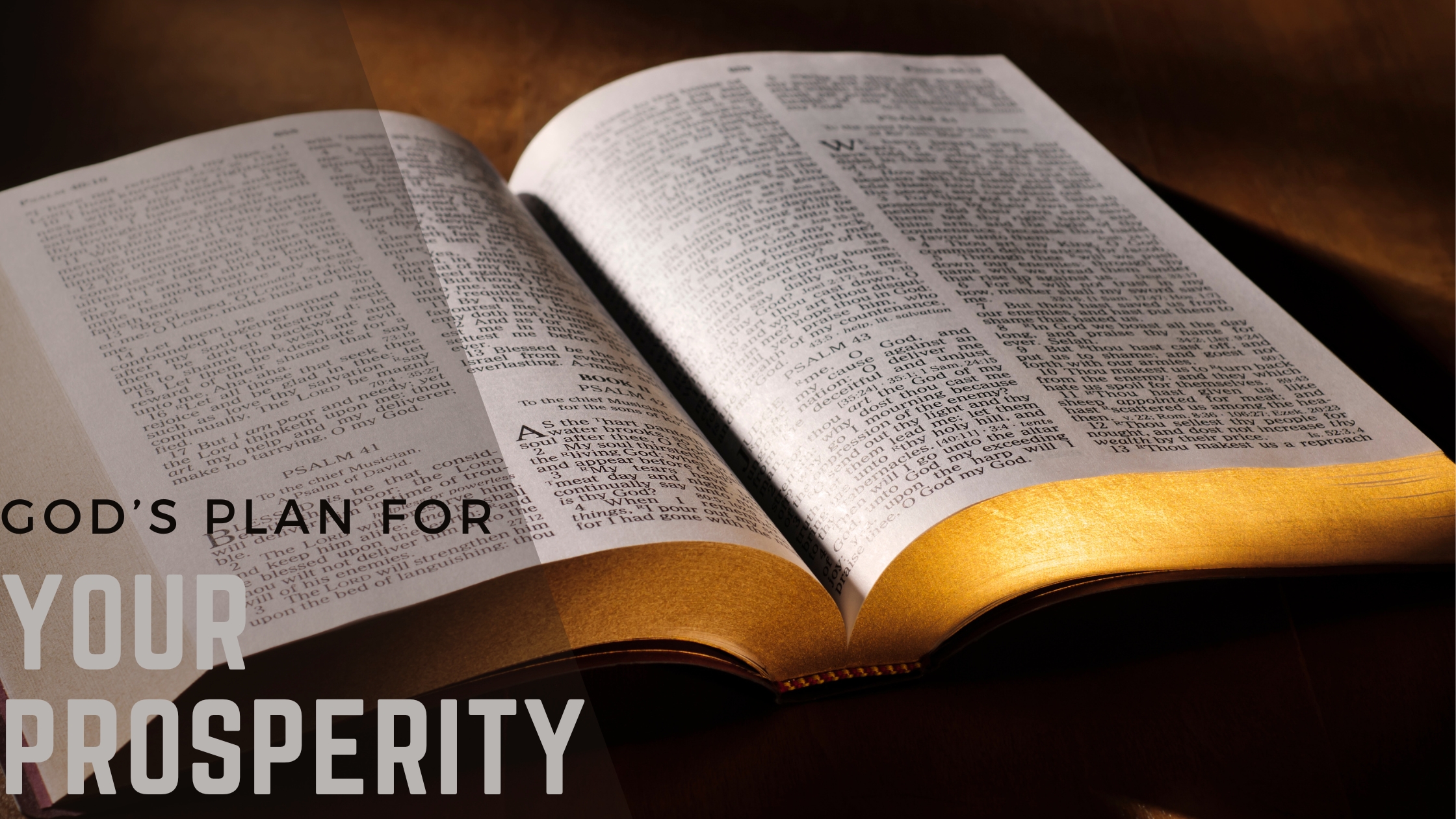 YOUR PROSPERITY